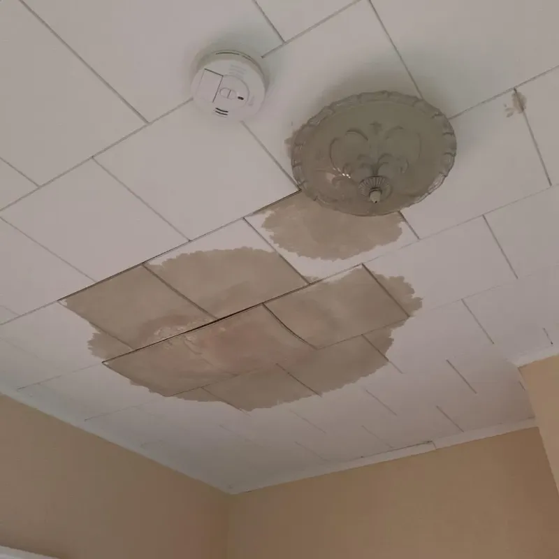 Ceiling Water Damage Repair in Dallam County, TX