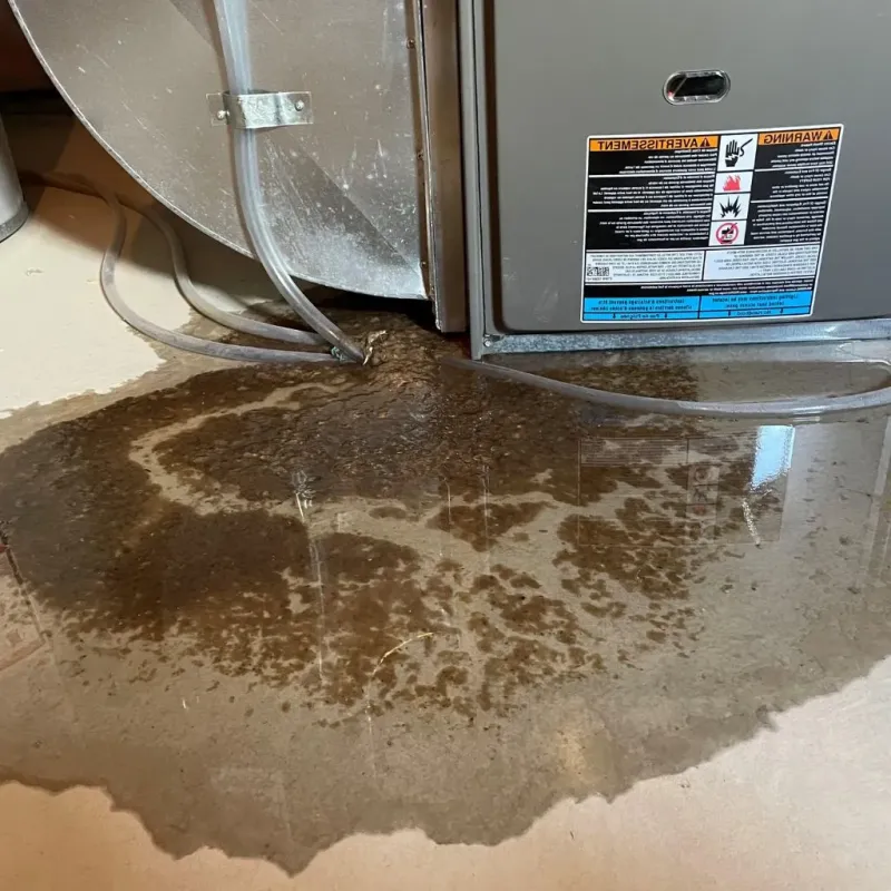 Pipe Burst and Leak Restoration in Dallam County, TX