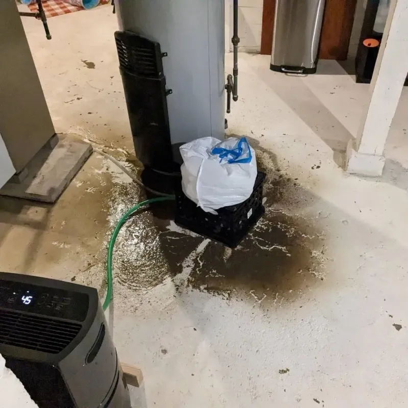 Sewage Backup Cleanup Service in Dallam County, TX